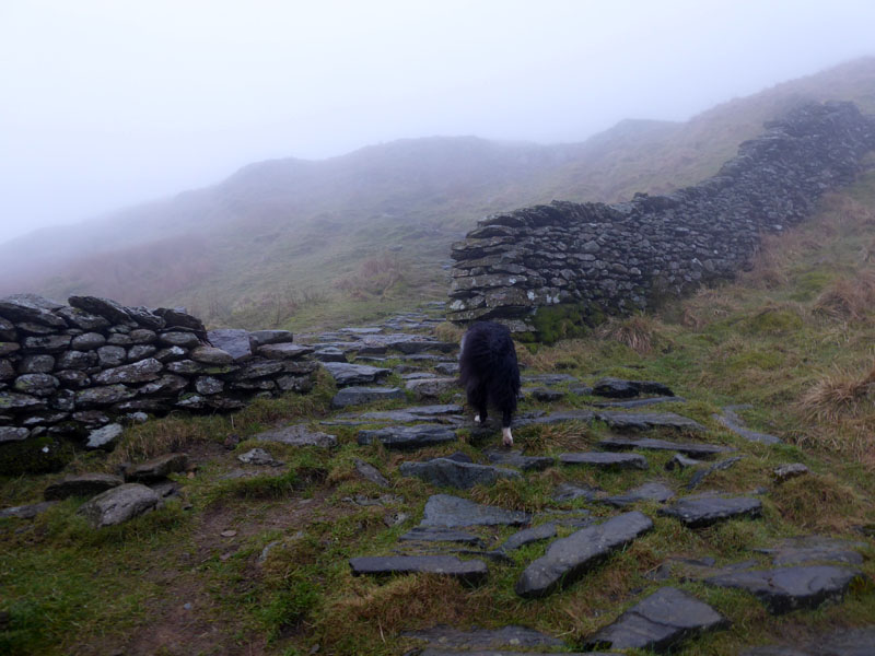 Wansfell